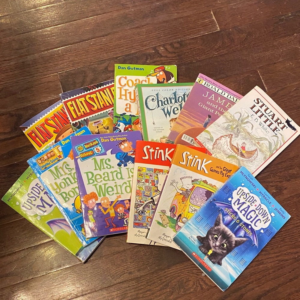 Lot of 12 Kids Chapter Books, Various Titles- See Pics…